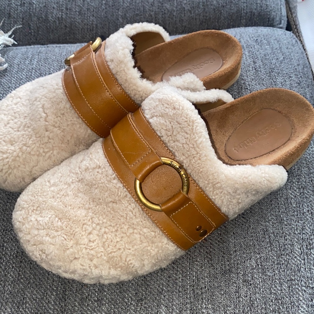 Chloe Shearling Gema Mules